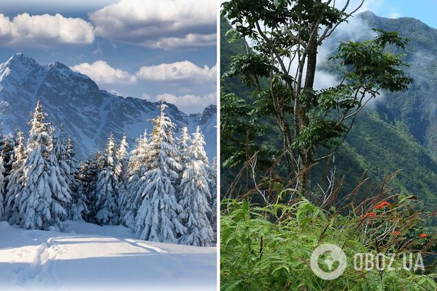 Природа в опасности: ученые сделали тревожное открытие о вымирании