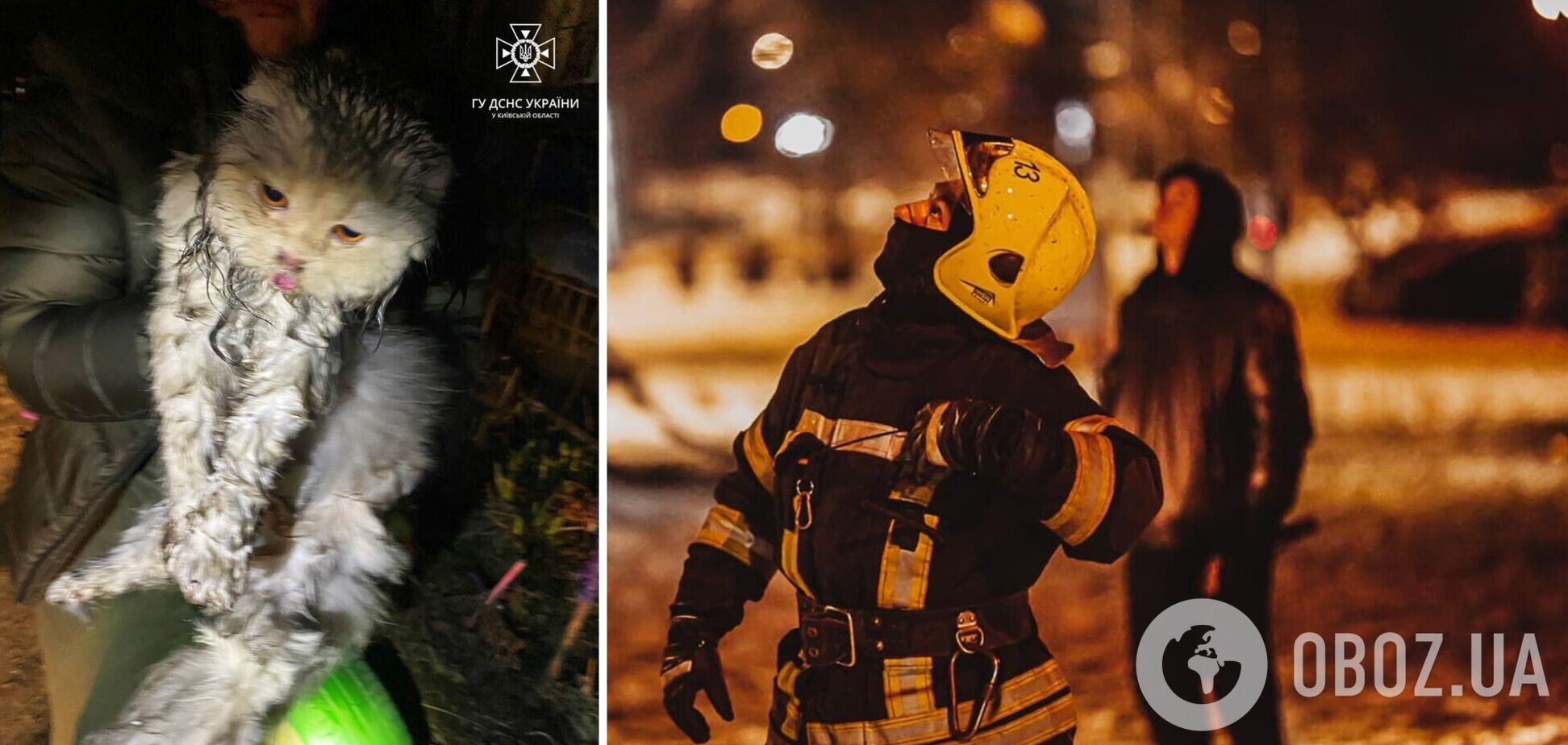 Рятувальник знайшли кота в квартирі та передали власнику