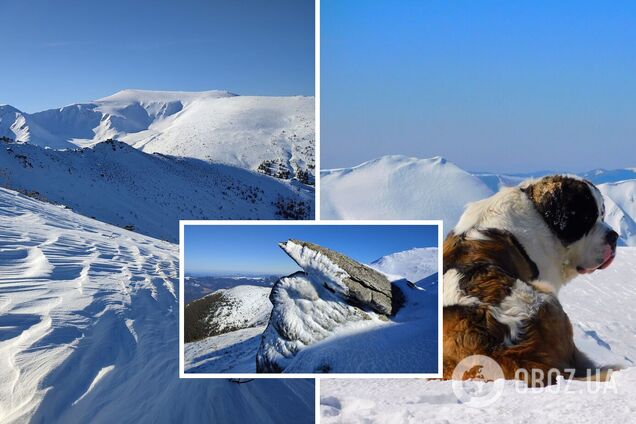 Снег в Карпатах в марте