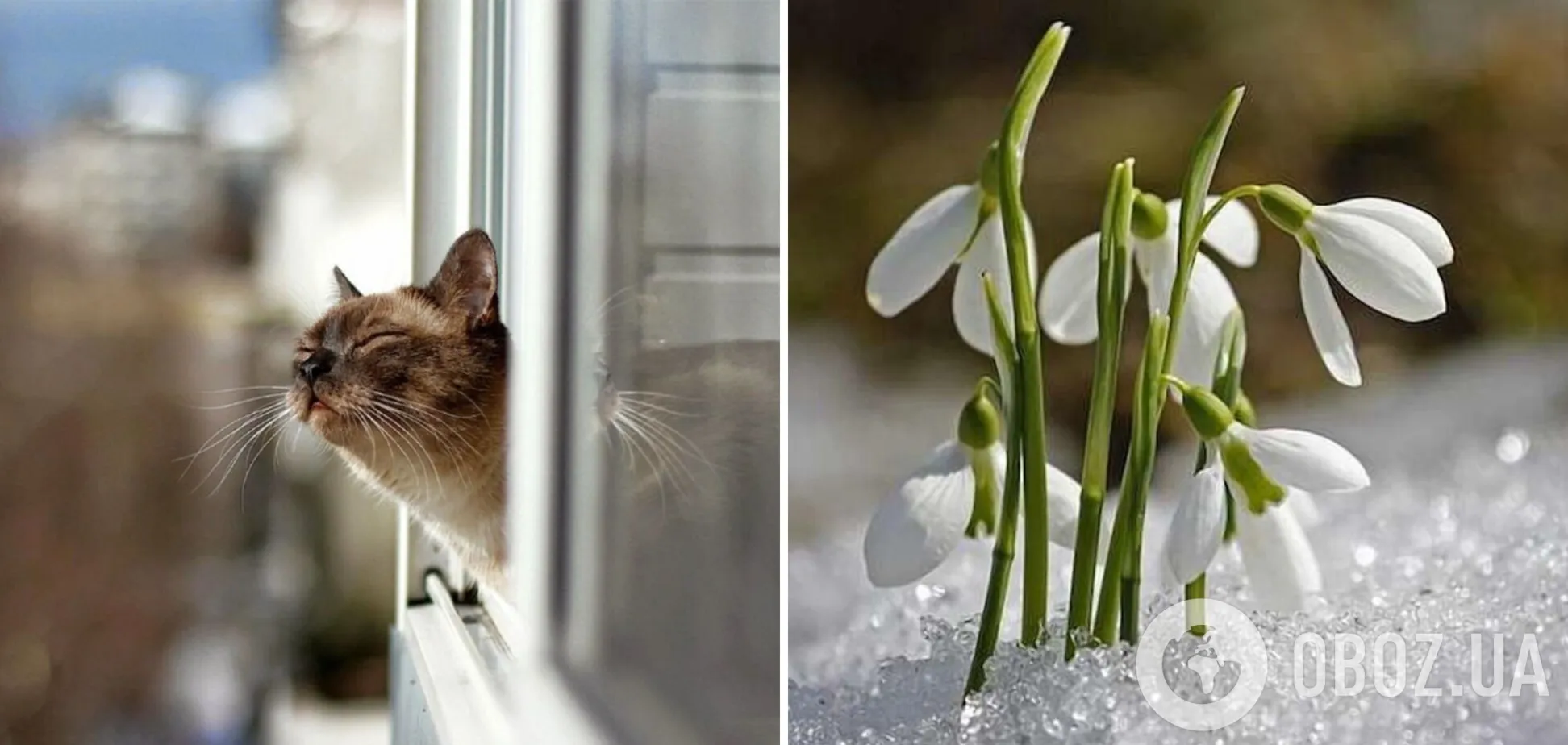 Температурні показники відповідатимуть середині квітня: в Україну йде різке потепління