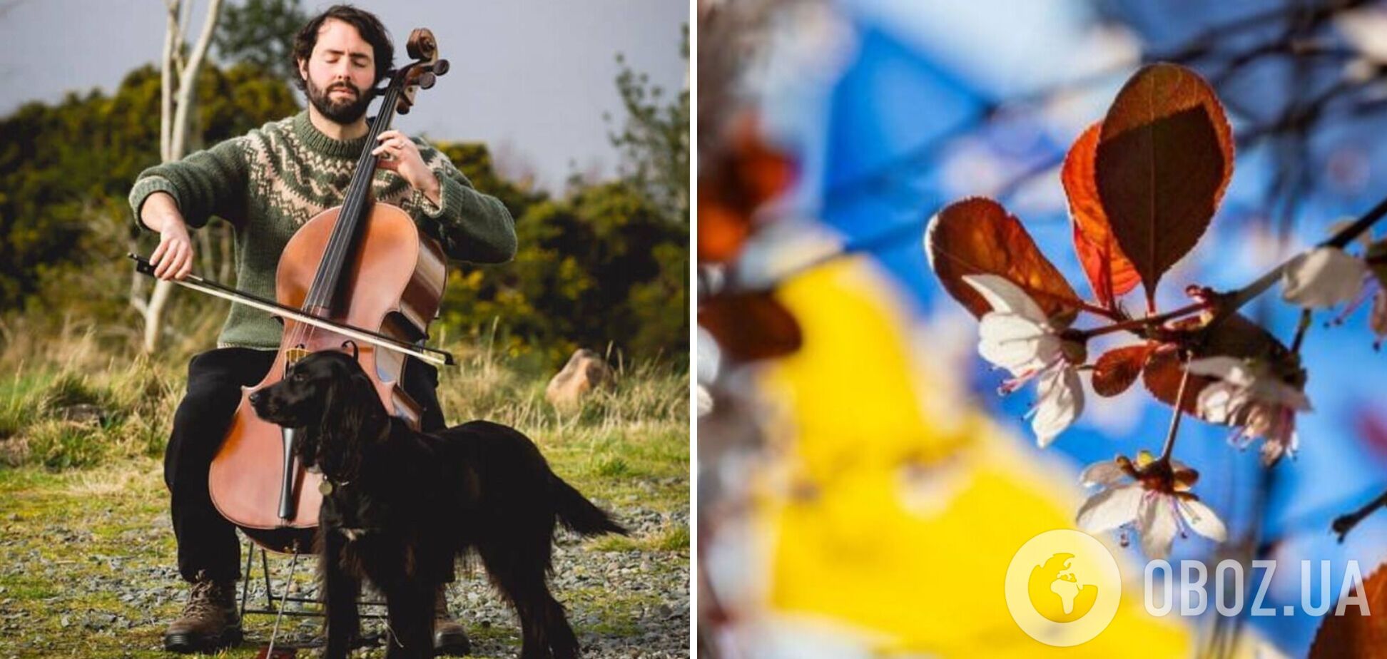 'Это разбило мне сердце': ирландский виолончелист поразил украинцев исполнением песни 'Ой у вишневому саду'. Видео 