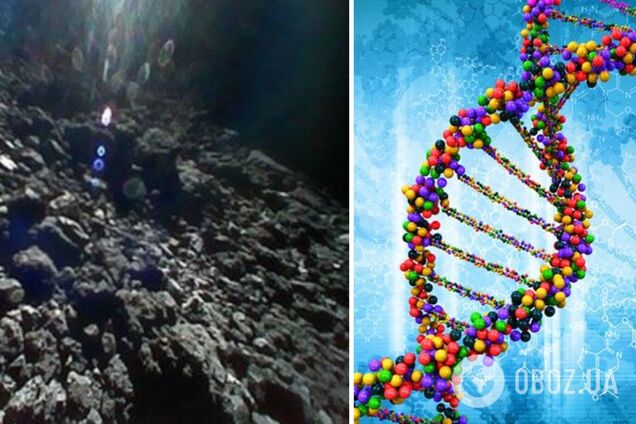 Вероятную разгадку тайны появления жизни на Земле обнаружили на далеком астероиде