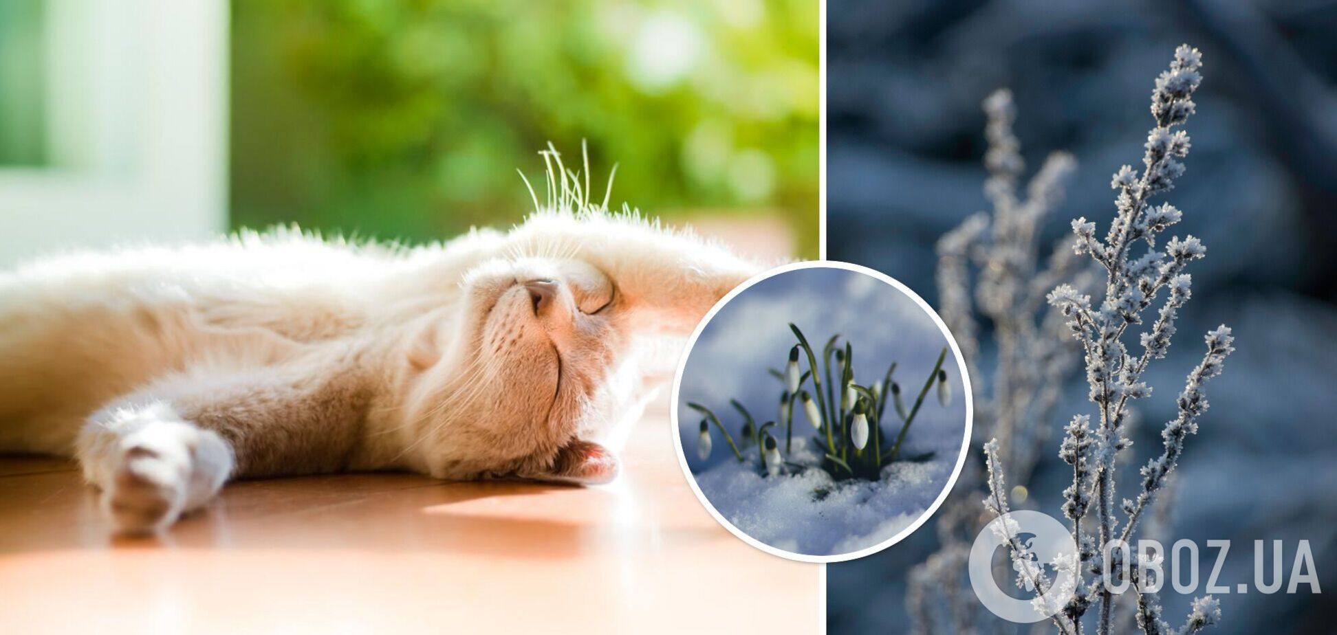 Прогноз погоди