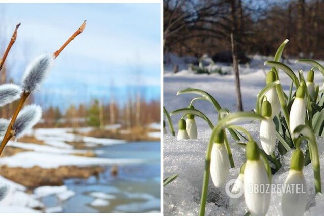В Україну до кінця березня повернуться снігопади: синоптики назвали дати негоди