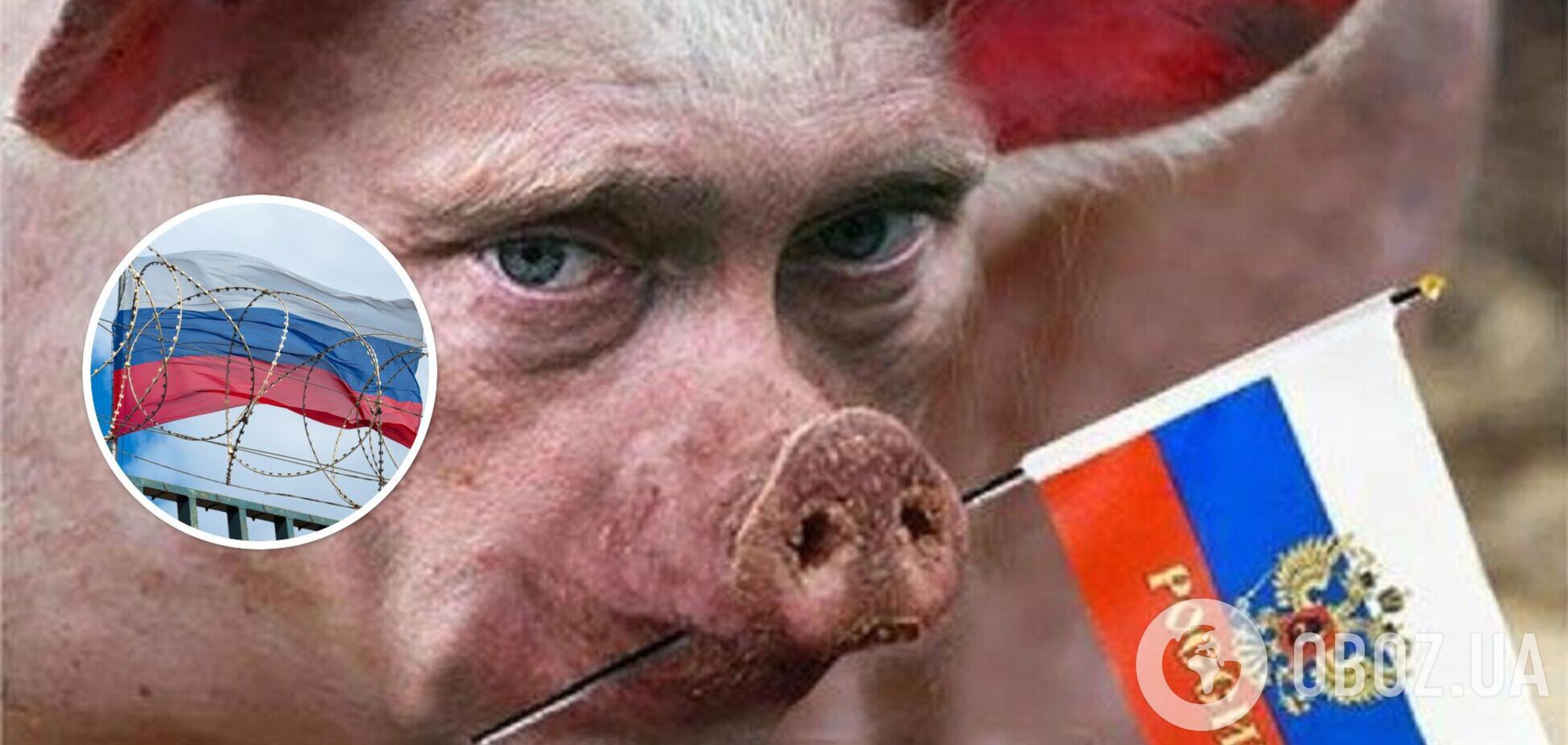 Обратно в болота: санкции стремительно возвращают россиян в дикое состояние