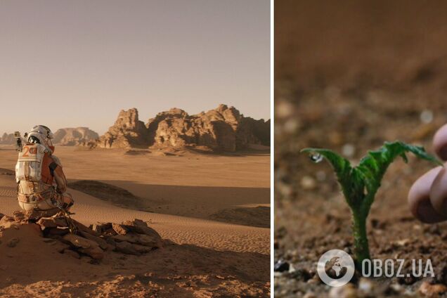 Можно ли посадить и вырастить картофель на Марсе: в NASA дали окончательный ответ