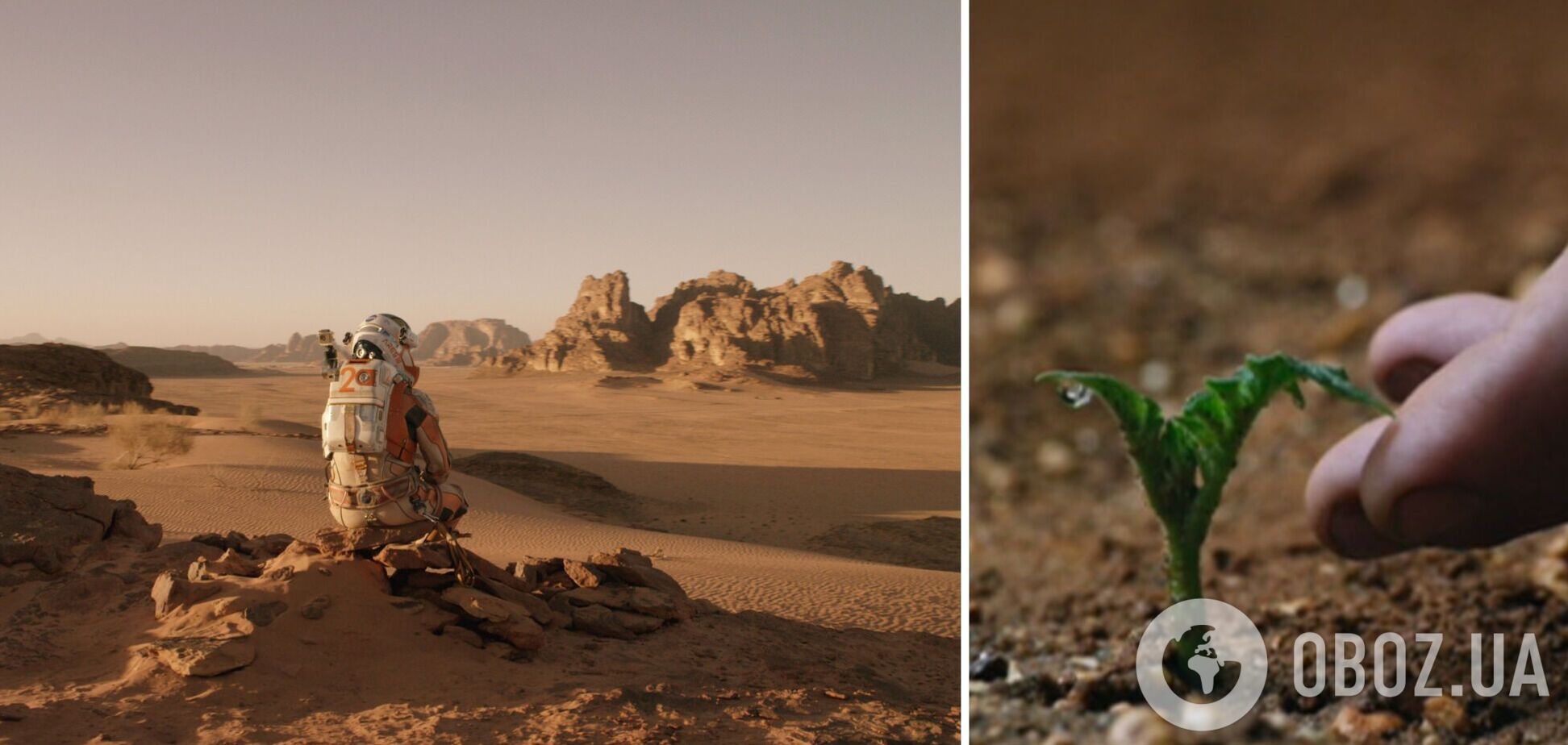 Чи можна посадити і виростити картоплю на Марсі: у NASA дали остаточну відповідь