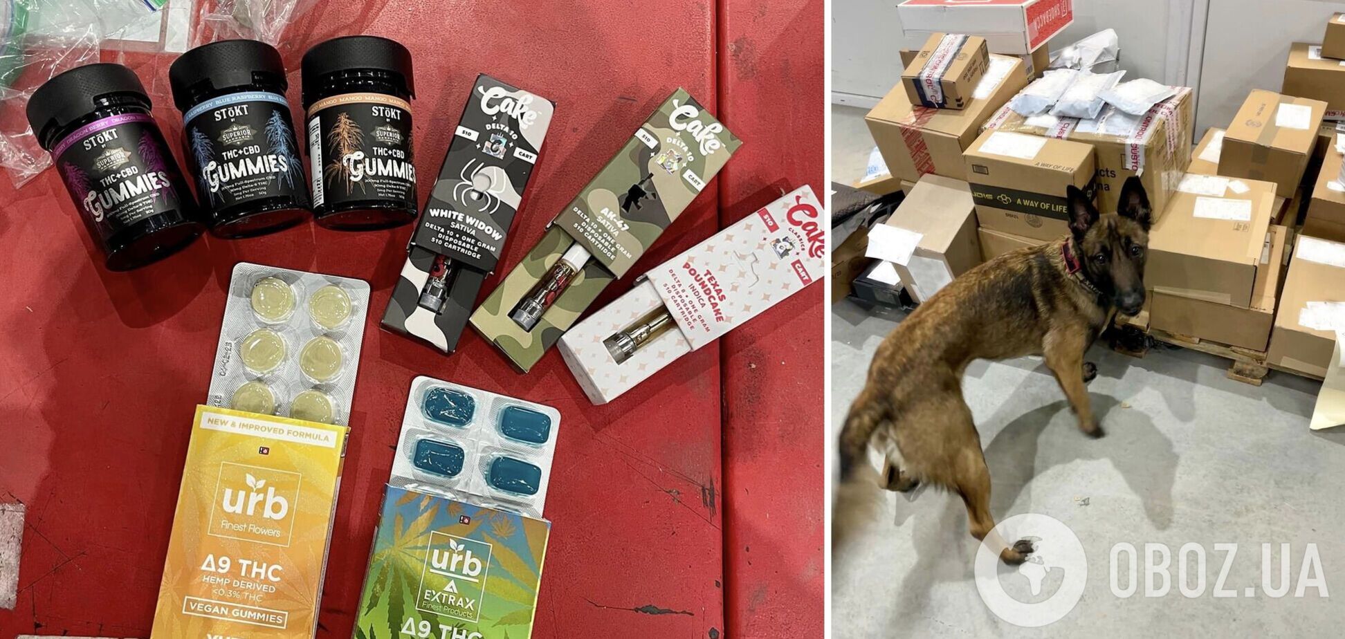 Заборонені речовини виявив службовий пес митників