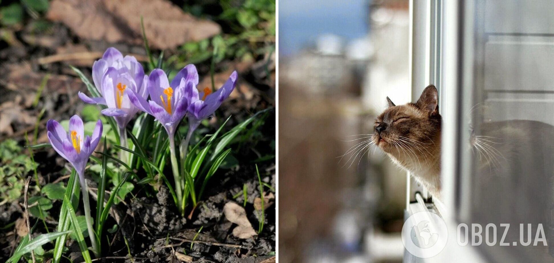 На Україну чекає зміна погоди на вихідних: синоптики дали детальний прогноз і попередили про 'сюрпризи'. Карта