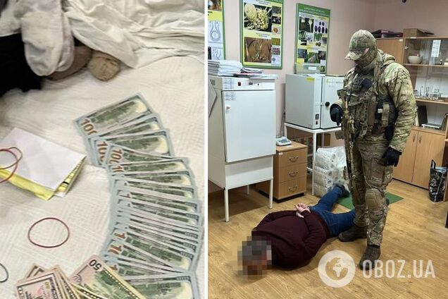 СБУ викрила схему у Держспоживслужбі