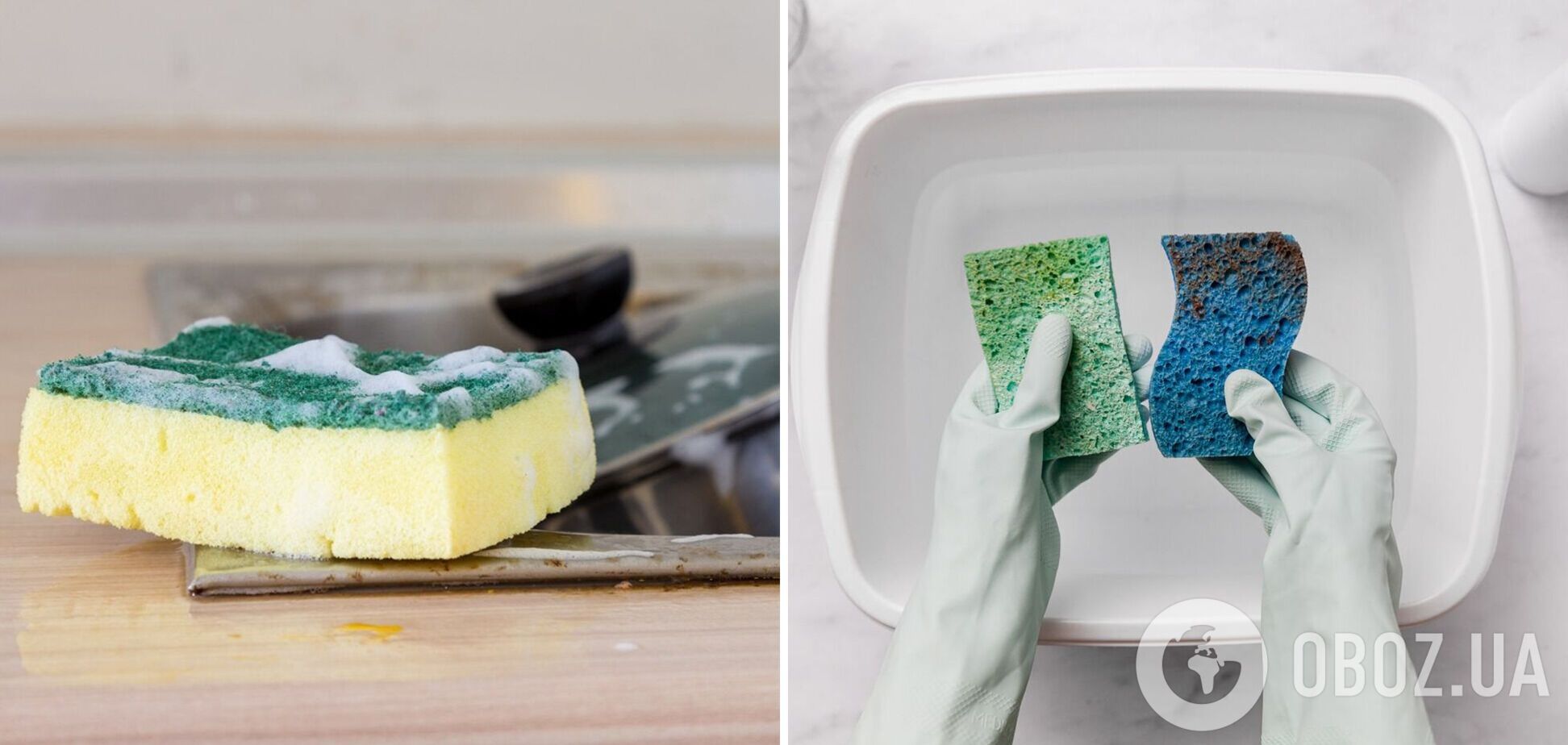 Як очистити губку для миття посуду: чотири геніальних лайфхаки