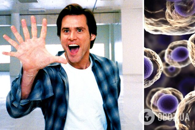 Ученые могут 'научить' людей отращивать пальцы и конечности: первый шаг уже сделан