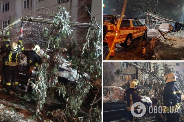 Непогода поломала деревья в разных районах столицы