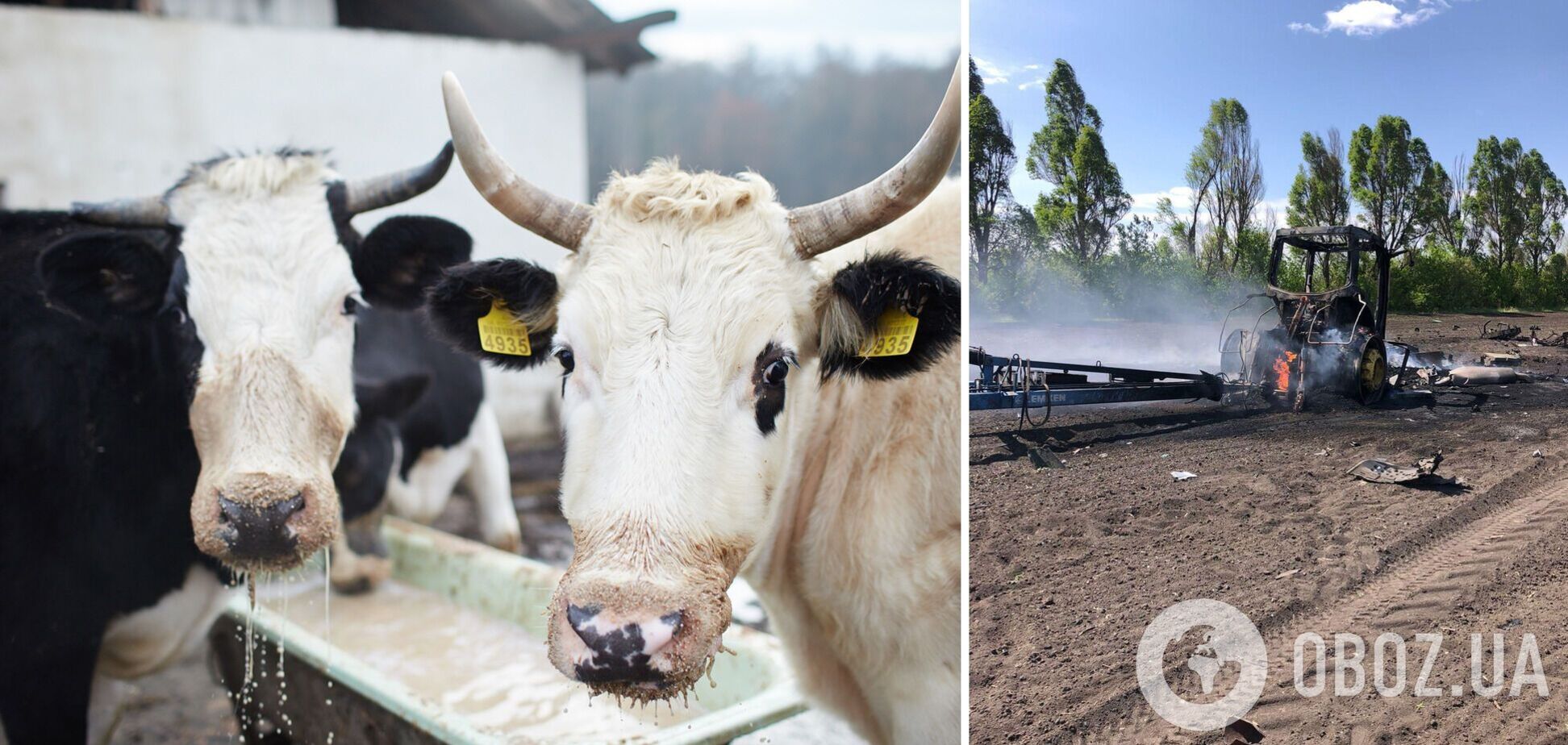 Аграрии, чей бизнес пострадал от действий захватчиков, в будущем смогут рассчитывать на компенсацию