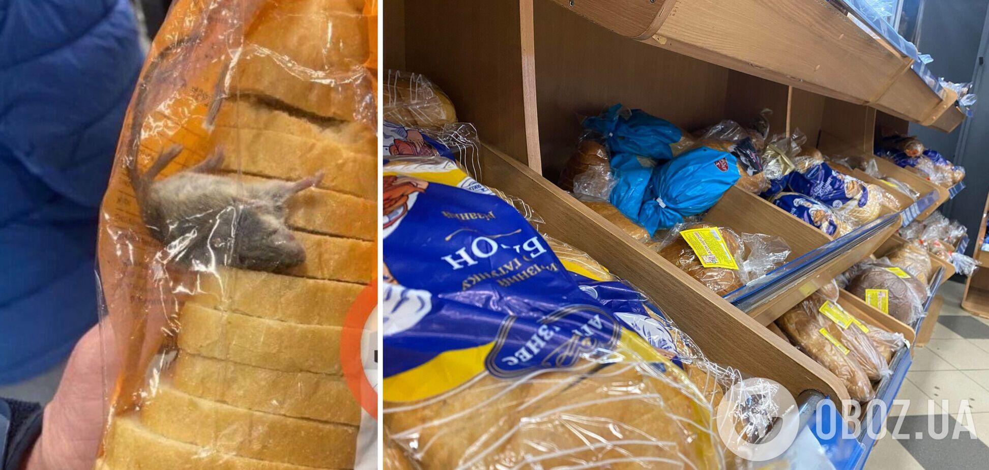 Покупатель обнаружил мертвую мышь в упаковке с хлебом
