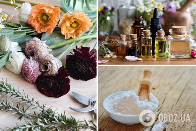 Як позбутися неприємних запахів вдома: п’ять швидких способів