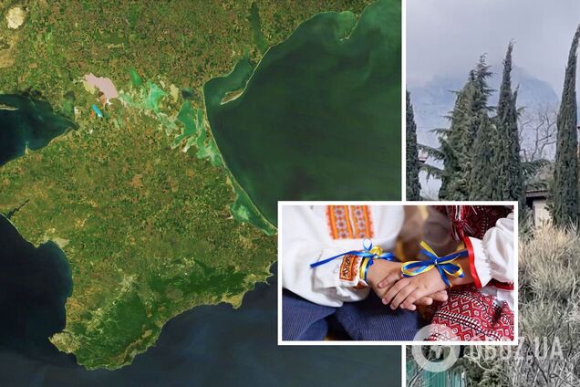 'Слава Украине! Героям слава!' Сеть тронуло видео юных патриотов из Крыма