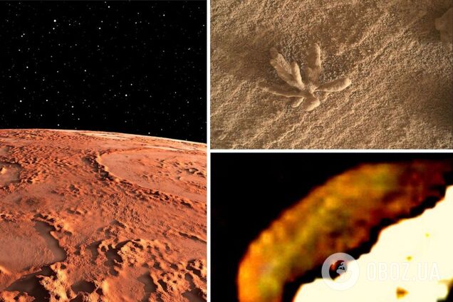 Многоножка, кораллы и грибы: ученые полагают, что нашли доказательства жизни на Марсе. Фото