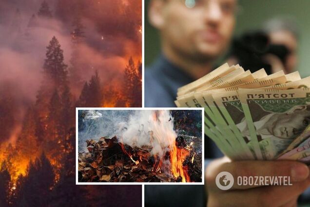 Українці можуть отримати штрафи за спалювання листя й гілок