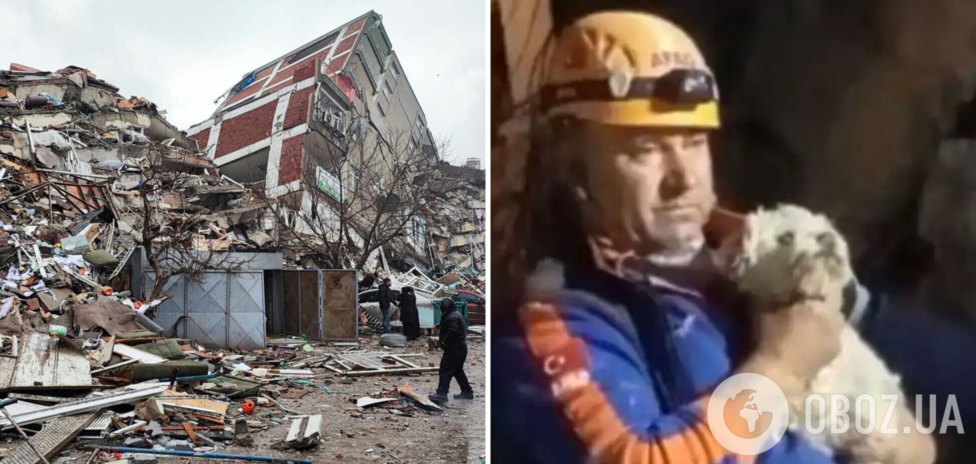 В Туреччині з-під завалів зруйнованого будинку врятували песика, який 25 днів був поруч з тілом господаря. Відео