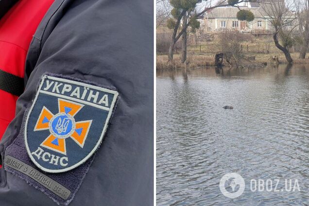 Тело погибшего на берег доставили спасатели