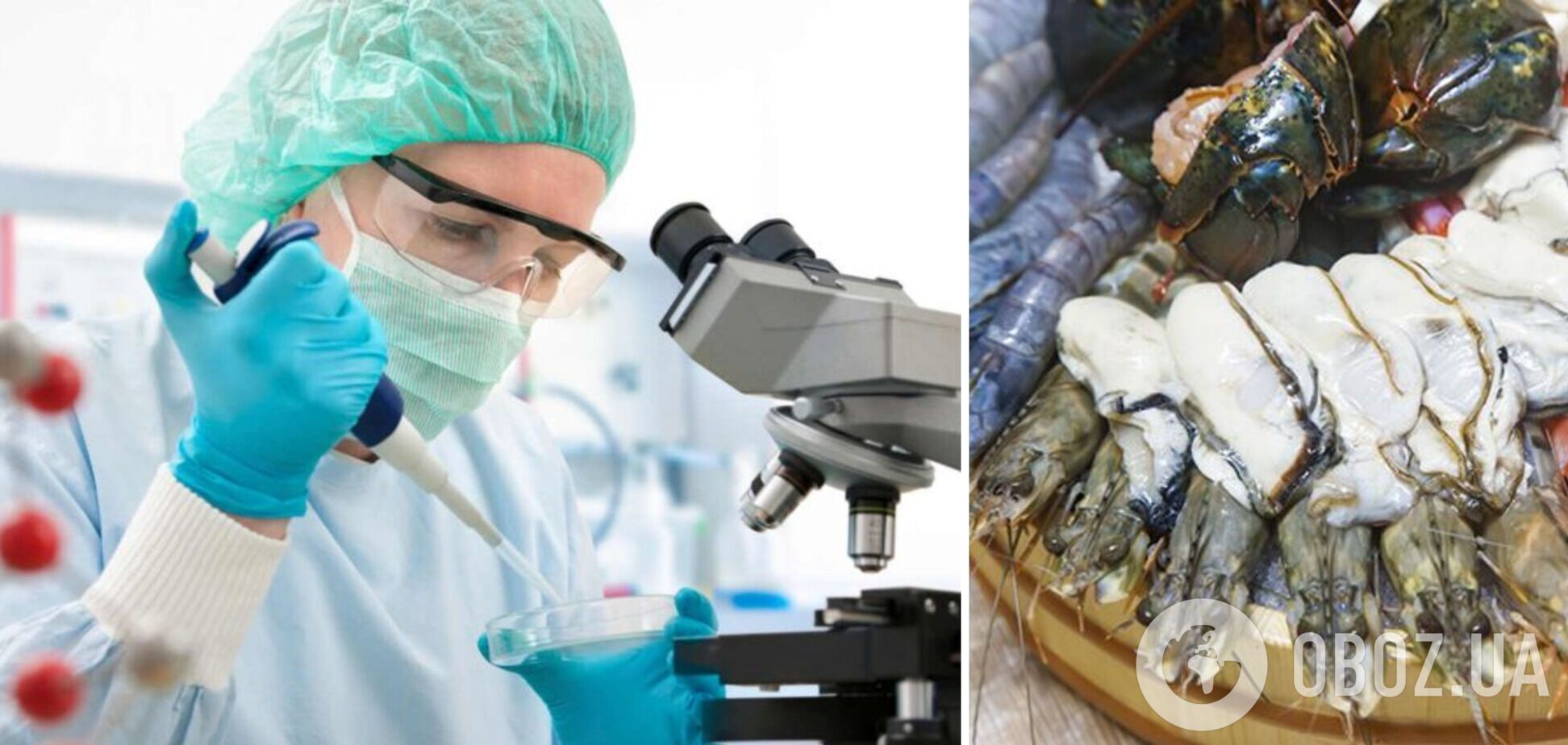 В Украину завезли опасные морепродукты