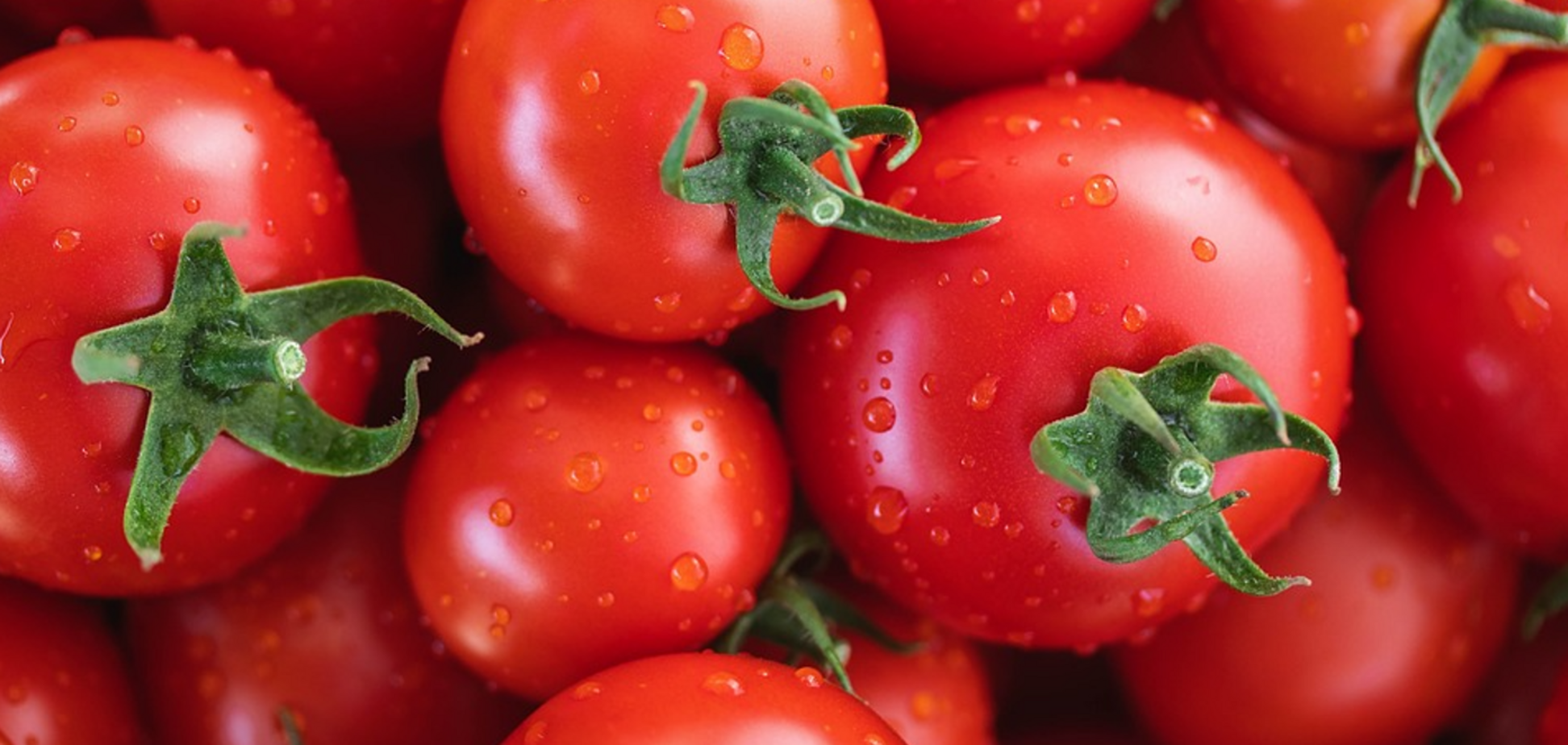 Какие помидоры ни в коем случае нельзя консервировать: могут вызвать отравление
