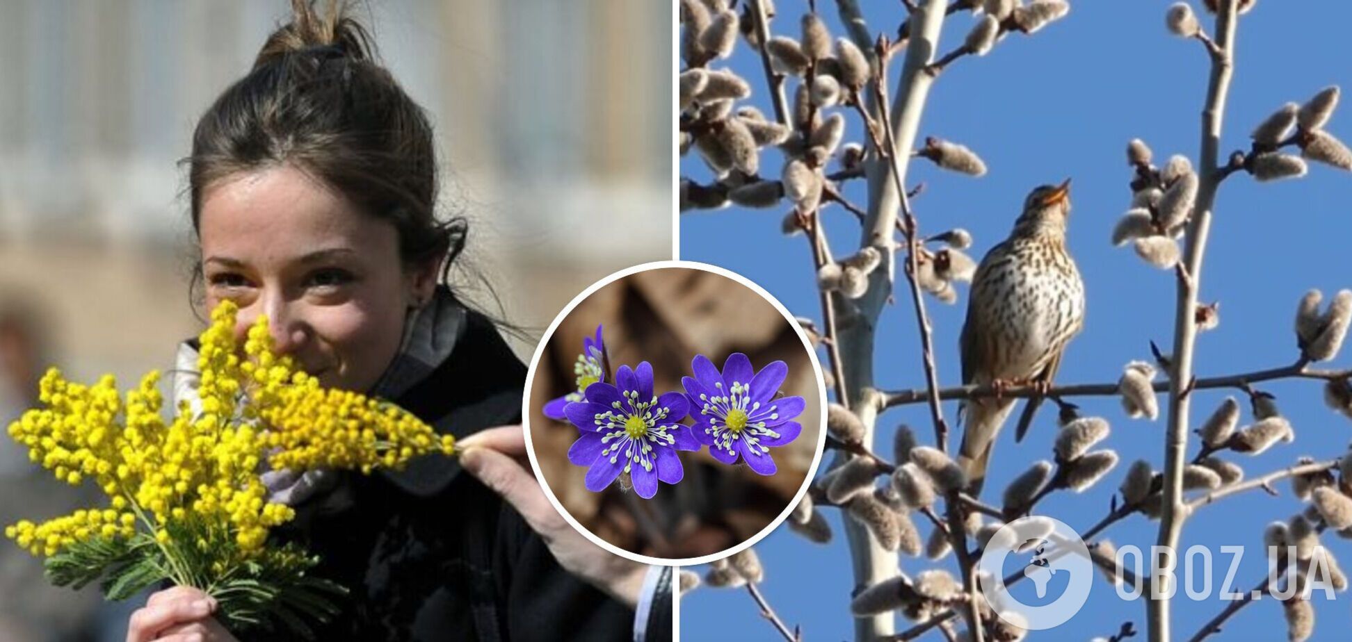'Весна сміливо заявить про себе': синоптикиня розповіла, якої погоди чекати в Україні на 8 березня