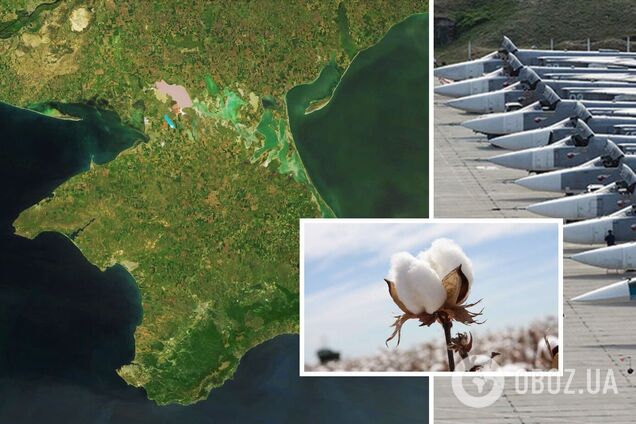 Результаты бавовны в Крыму