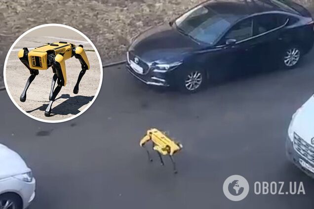'Песик на самовигулі': в Києві помітили робота-собаку від Boston Dynamics на прогулянці. Відео 