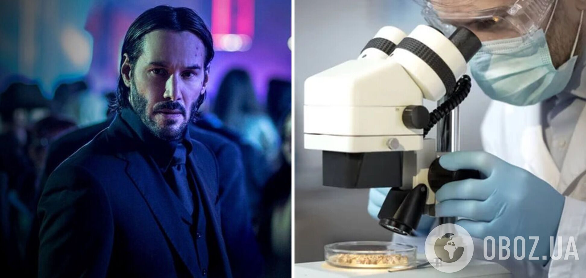 Ученые назвали смертельную бактерию в честь Киану Ривза: актер с юмором отреагировал