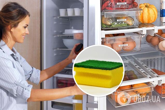 Навіщо солити губку для миття посуду: секрет досвідчених господинь