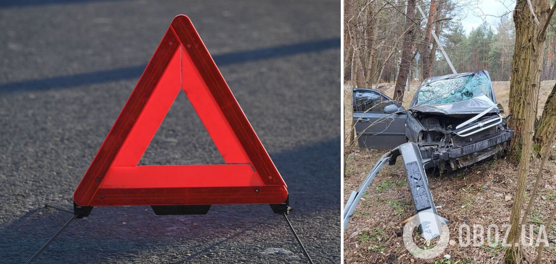 Легковик на швидкості протаранив дерево