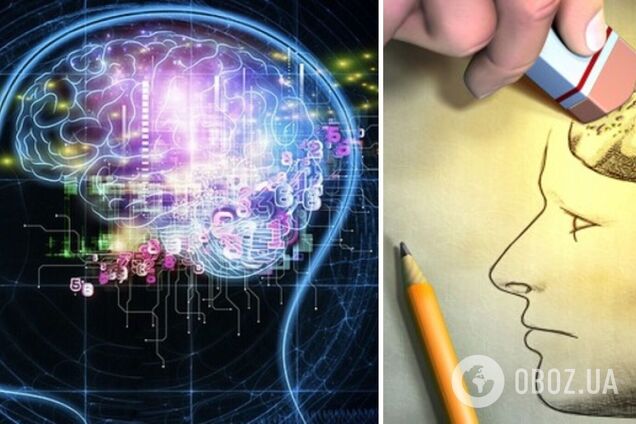 Ученые неожиданно обнаружили, что мозг лжет о том, что видят глаза: как это происходит