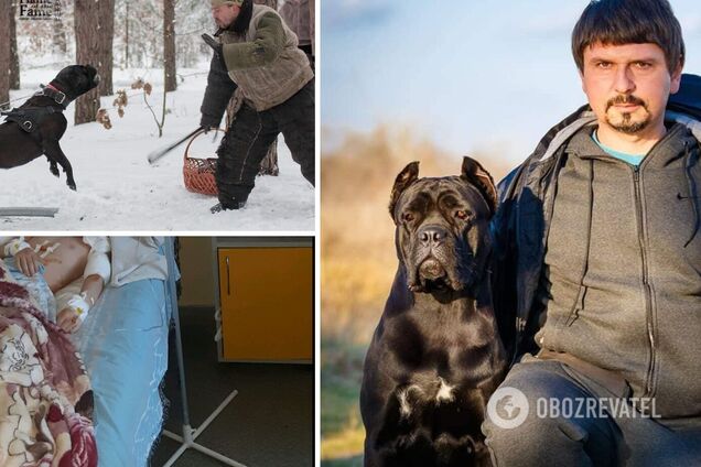 Под Киевом собаки породы кане-корсо жестоко искусали мать с ребенком: хозяин питомника давно держит в страхе село