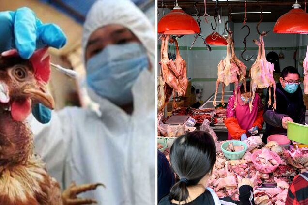 В Китае зафиксировали первую в мире смерть человека от птичьего гриппа H3N8: подробности