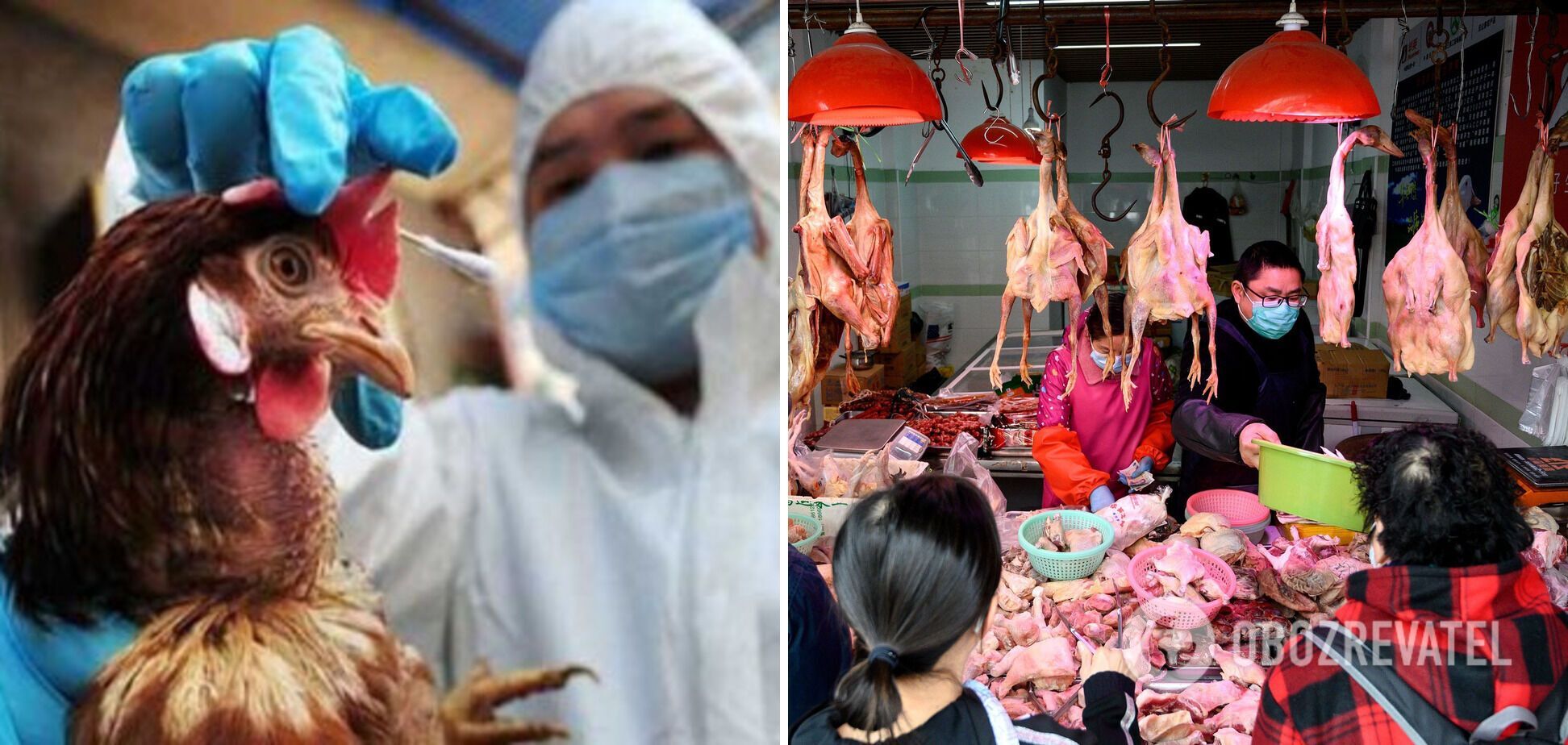 У Китаї зафіксували першу у світі смерть людини від пташиного грипу H3N8: подробиці 