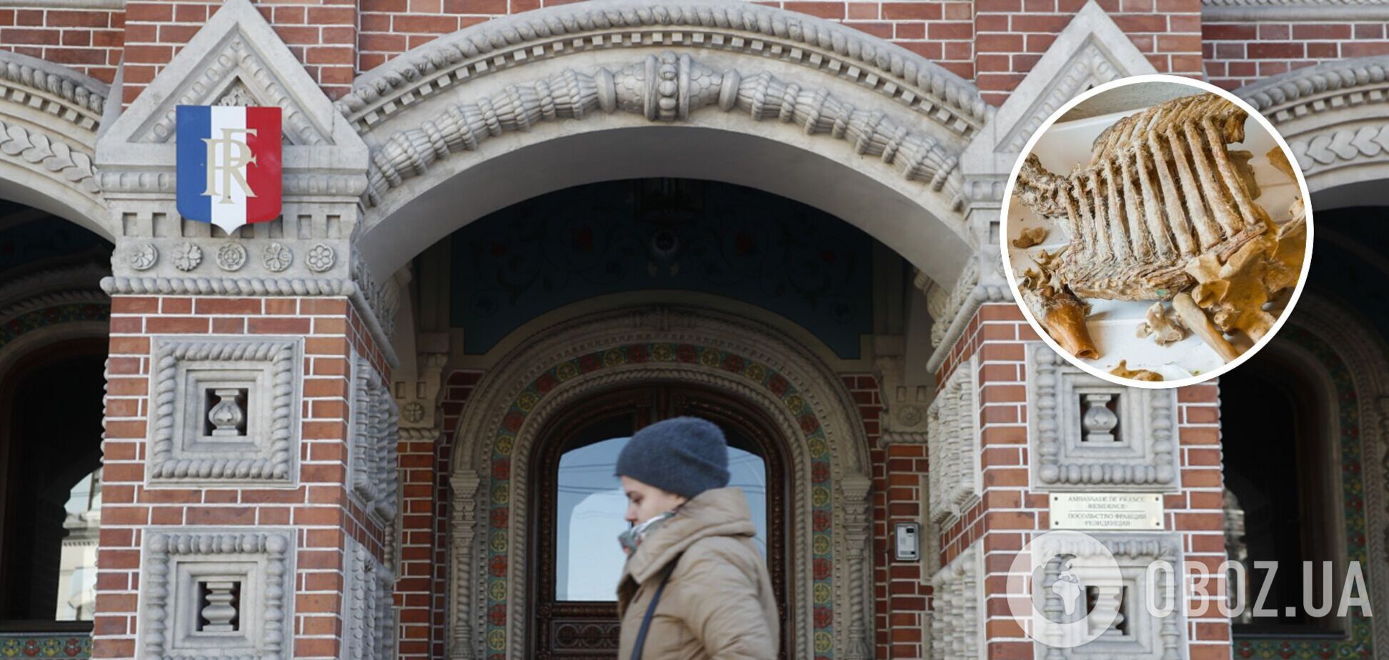 Посольство Франції в Москві отримало посилку з кістками: її відправили з Криму