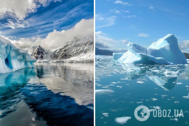Під льодом Антарктики знайшли 'пальці смерті': можуть заморозити все живе