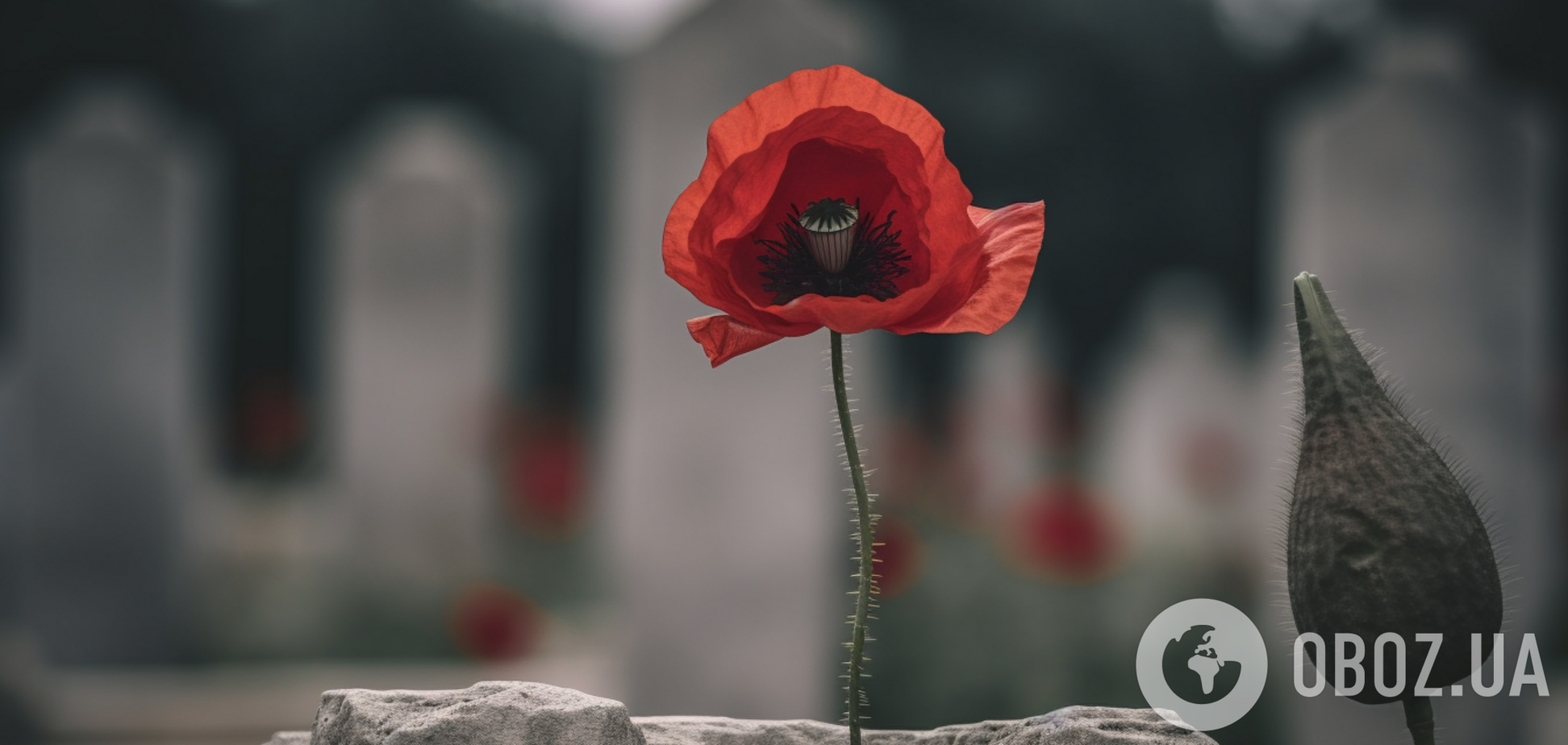 Какие цветы не стоит сажать на могилах: чем заменить