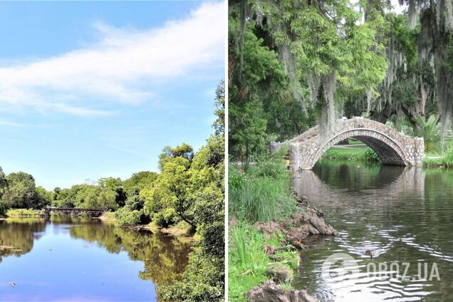 В США заметили таинственное существо с красным хвостом: кто это может быть