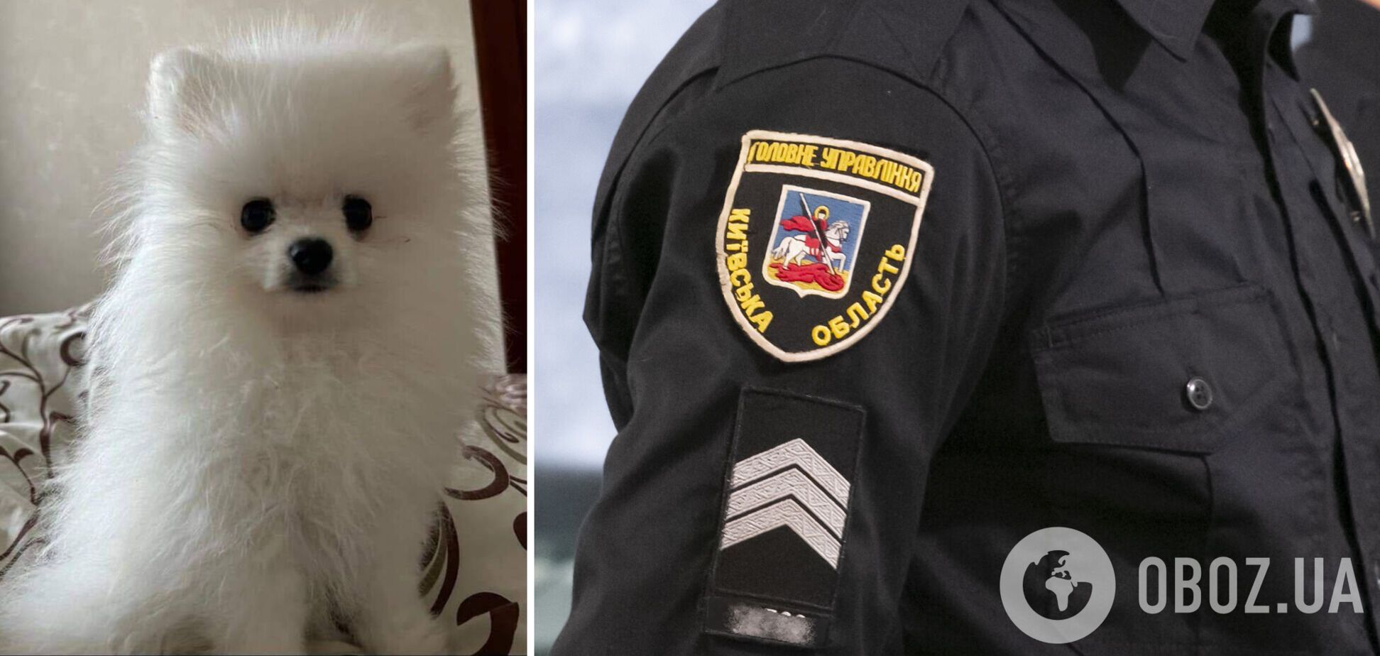 Полиция расследует возможный факт жестокого обращения с животным