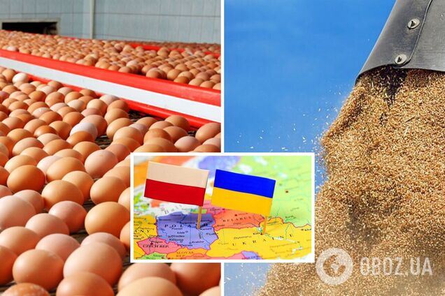 Польша запретила импорт украинского зерна и десятков продуктов питания