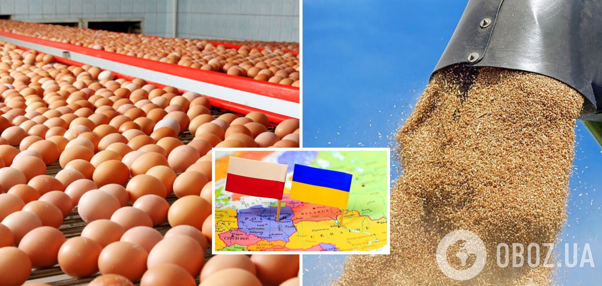 Польша запретила импорт украинского зерна и десятков продуктов питания