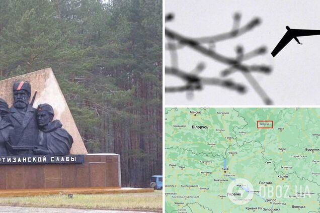 У Брянську впав безпілотник із вибухівкою – росЗМІ