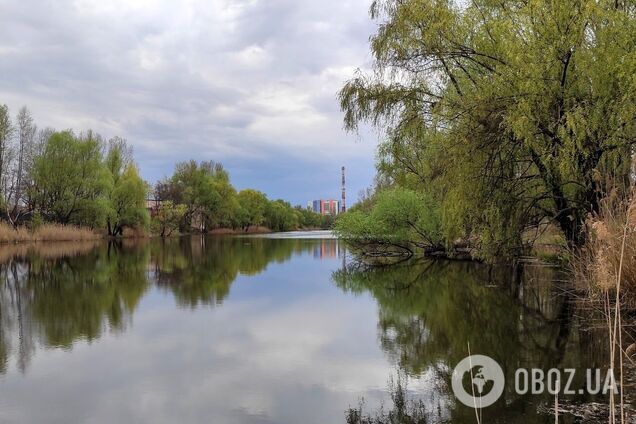 Синоптики прогнозують хмарну погоду в регіоні