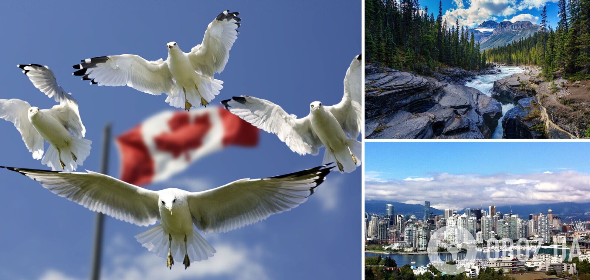 Страсть к сыру, десерты с каннабисом и поклонение фаллосу: необычные факты о жизни в Канаде