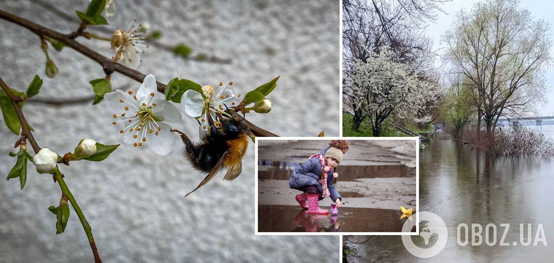 В Украину ворвалось потепление, но есть плохая новость: синоптики рассказали, чего ждать