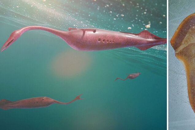 Странного доисторического монстра ошибочно считали утерянным звеном эволюции: что узнали ученые