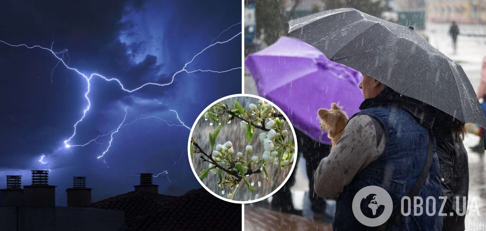Дожди, грозы и до +19: синоптик рассказала о погоде в начале недели в Украине